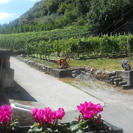 La In Campagna Villa di Tirano